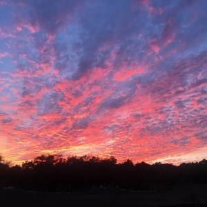 Meet your Posher, Tom